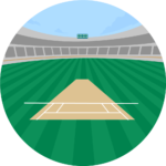 Cricket Pitch