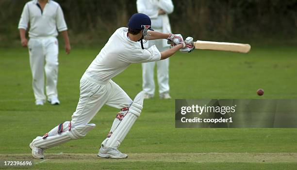Cricket batting action shot