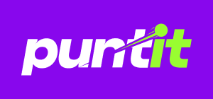 Puntit logo
